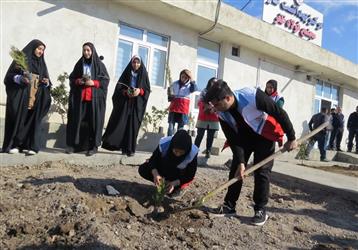 مشارکت مجتمع فولاد ظفر بناب در پویش کاشت نهال